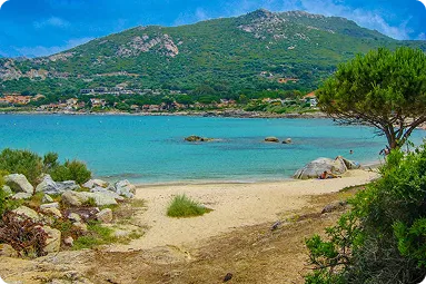 Balagne : un marché qui tient toute la saison – photo 2