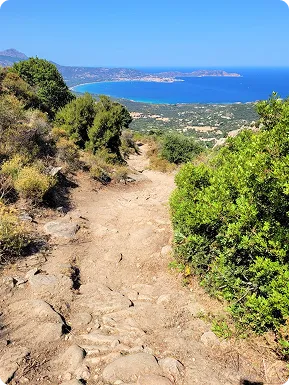 Conciergerie en Balagne : ce qu'on fait concrètement – photo 1